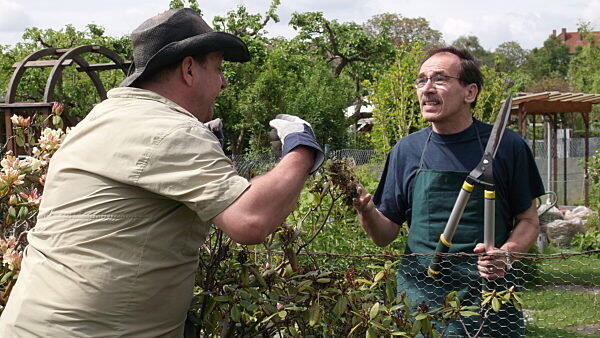 Ragt die eigene Bepflanzung aufs Nachbargrundstück, kann das zu einem Rechtsstreit führen. Ragt die eigene Bepflanzung aufs Nachbargrundstück, kann das zu einem Rechtsstreit führen.