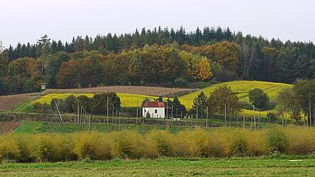 Sch&ouml;n steht sie da, die Kapelle am Waldrand von St. Johann, die dringend einen neuen Vorsitzenden f&uuml;r den Verein ihres Freundeskreises sucht.