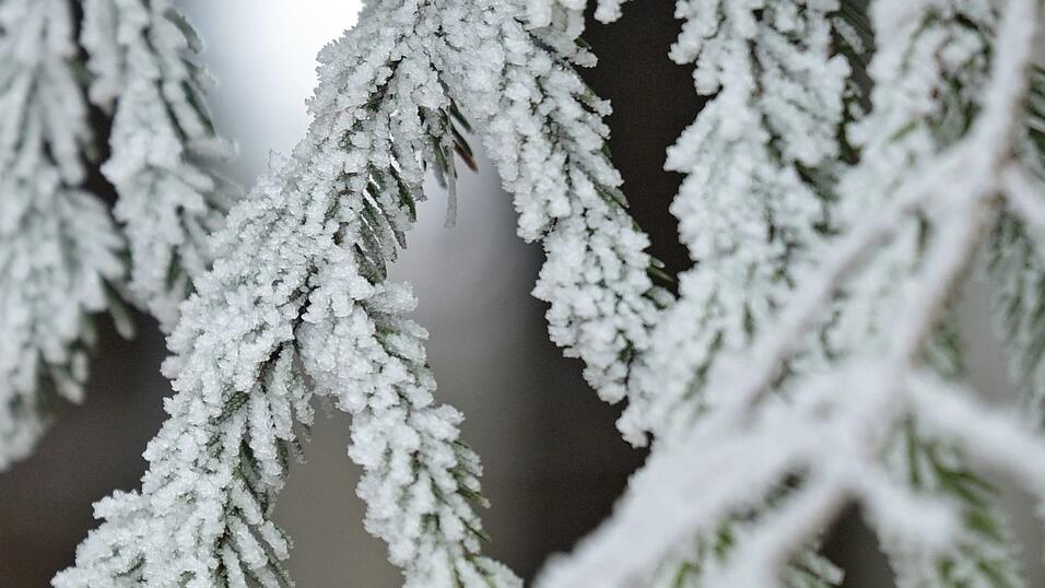 Schnee ist an Weihnachten Mangelware in Bayern. (Archivbild)