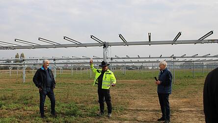 Noch stehen hinter Landwirt Gerhard Froschhammer (von links), Bauleiter Alexander Mandl von der Firma Maxsolar und dem Vorsitzenden der Genossenschaft B&uuml;rger Energie Region Regensburg (BERR), Joachim Scherrer, &uuml;berwiegend St&auml;nder. Bald werden darauf PV-Anlagen befestigt sein, die Sonnenenergie in Strom verwandeln. Darunter wird Weizen und Soja wachsen.