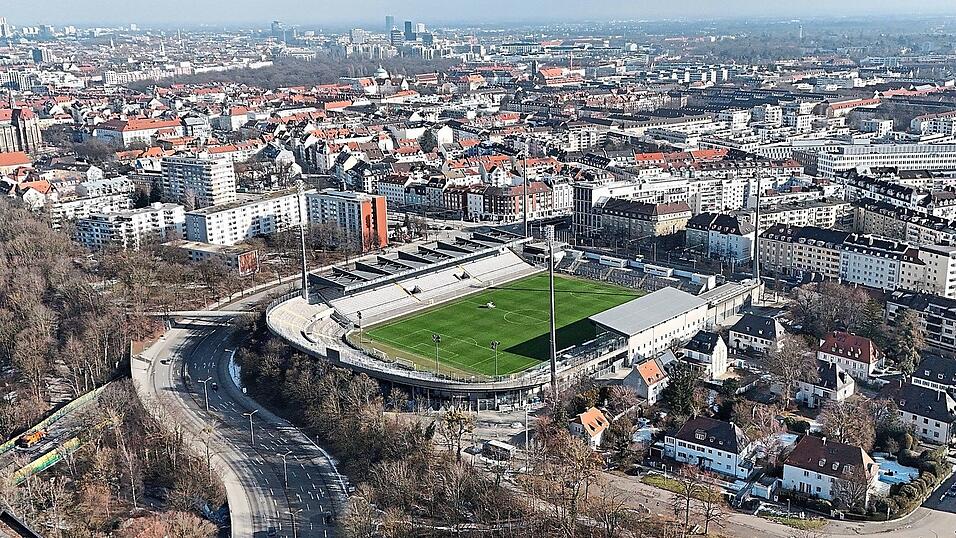 Hier sollen die L&ouml;wen bleiben - wenn es nach Gernot Mang und Verena Dietl geht.