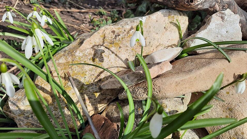 Der Frühling erwacht.