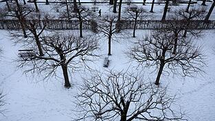 Sonne und Wolken wechseln sich ab, doch der Frost bleibt bis Freitag Dauergast. (Symbolbild)