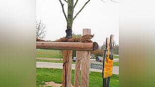 Mittlerweile ist die Schadstelle an der Linde des Eberhofer-Kreisel fachkundig 'verarztet'. Mittlerweile ist die Schadstelle an der Linde des Eberhofer-Kreisel fachkundig 'verarztet'.