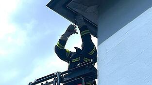 Ein Feuerwehrmann fuhr mit der Drehleiter nach oben und befreite den Vogel vorsichtig aus der Dachrinne Ein Feuerwehrmann fuhr mit der Drehleiter nach oben und befreite den Vogel vorsichtig aus der Dachrinne
