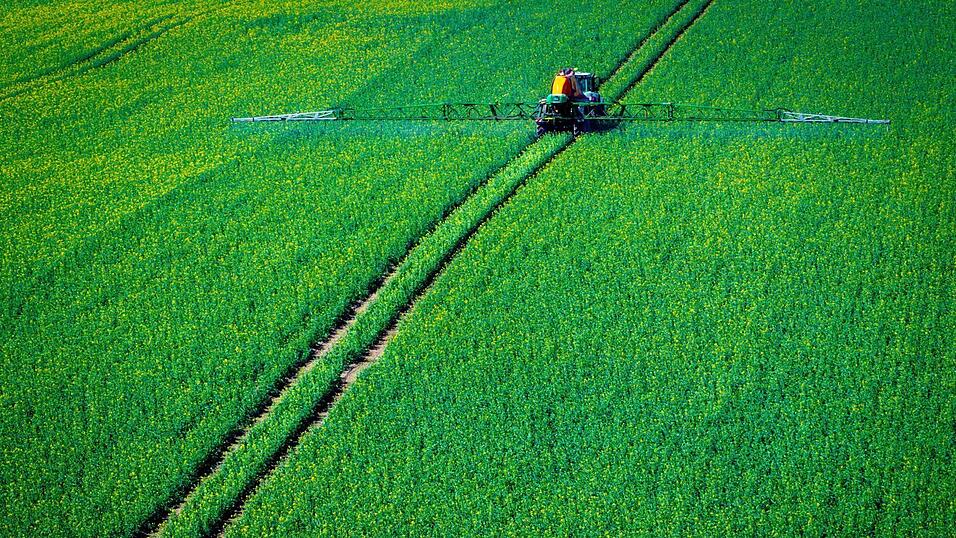 Pflanzenschutzmittel sollen die Ernte sichern. (Symbolbild)