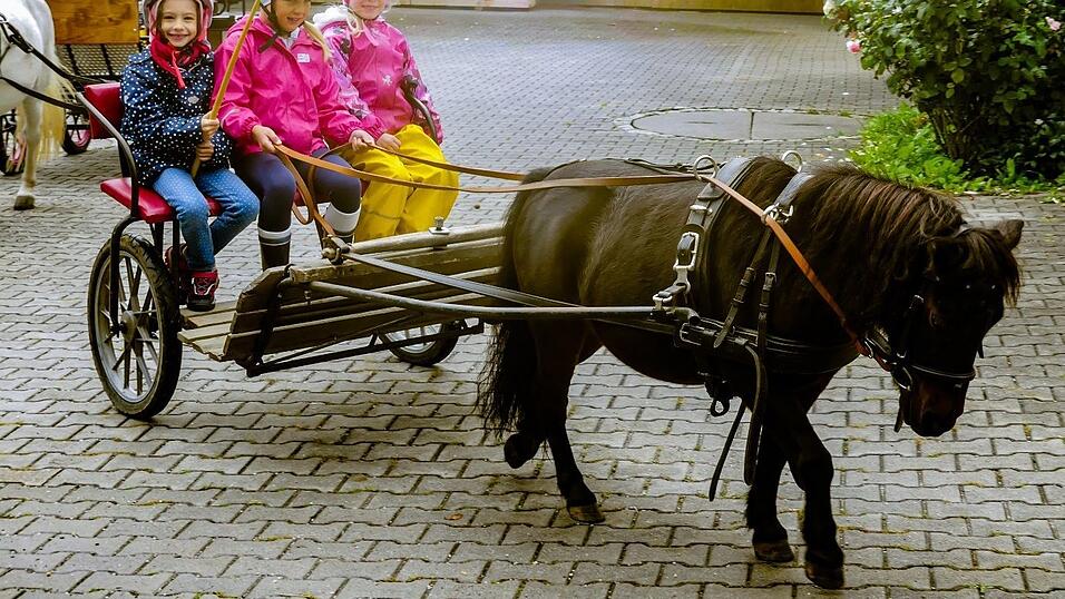Beim Ferienprogramm und bei der Erlebniswoche auf der Wurzel-Ranch hatten die Kinder viel Spa&szlig;.