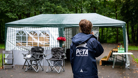 Tierschutzaktivisten protestieren ab sofort in einem Camp vor dem Tiergarten.