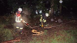 Da es auch im Inneren des Baumstamms gl&uuml;hte und brannte, setzte die Feuerwehr &Auml;xte und Motors&auml;gen ein.