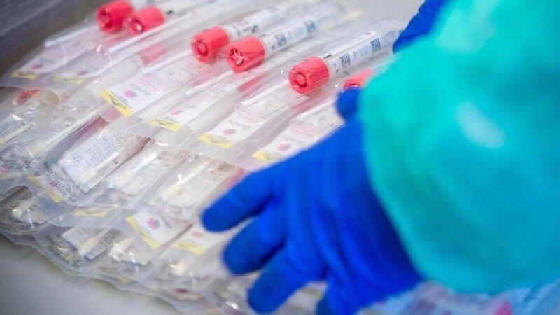 Die Inzidenz im Landkreis Regen sinkt. Die Inzidenz im Landkreis Regen sinkt.