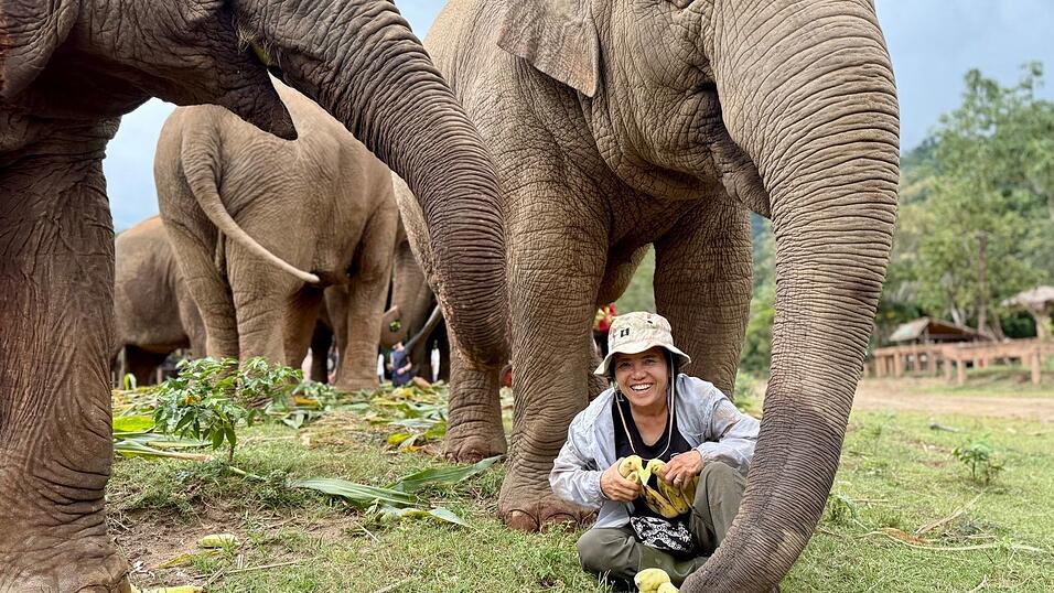 Saengduean «Lek» Chailert verbringt täglich viel Zeit mit ihren Elefanten. Saengduean «Lek» Chailert verbringt täglich viel Zeit mit ihren Elefanten.