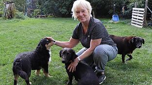 Michaela Kläge mit ihren Hunden Max, Seppi und Lia im Garten. Lia ließ sich noch im Tierheim in Rumänien kaum anfassen. Kläge hat sie erfolgreich vermittelt, bald ist Lia bei ihren neuen Besitzern. Michaela Kläge mit ihren Hunden Max, Seppi und Lia im Garten. Lia ließ sich noch im Tierheim in Rumänien kaum anfassen. Kläge hat sie erfolgreich vermittelt, bald ist Lia bei ihren neuen Besitzern.