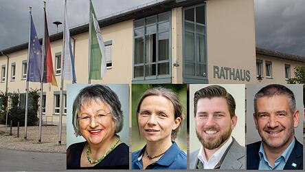 Die vier neuen Wallersdorfer Marktr&auml;te: Lisa Wax (v.l.), Susanne Fischer, Marco Lochner und Dominik Plame.