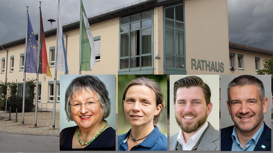 Die vier neuen Wallersdorfer Marktr&auml;te: Lisa Wax (v.l.), Susanne Fischer, Marco Lochner und Dominik Plame.