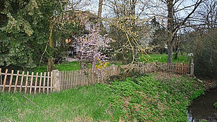 Wegen der Hochwassergefahr durch den vorbeiflie&szlig;enden Leitersdorfer Bach h&auml;lt der Marktrat dieses Grundst&uuml;ck an der Moosburger Stra&szlig;e f&uuml;r unbebaubar und verweigerte dem Antrag auf Vorbescheid zum Neubau einer Wohnanlage mit neun Wohnungen zum mittlerweile dritten Mal das gemeindliche Einvernehmen. Das Kreisbauamt sieht die Sache nach wie vor anders.