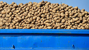 Eine offene Anhängerklappe sorgte am Samstagabend für eine Kartoffelspur von Pilsting bis Großköllnbach.(Symbolbild)