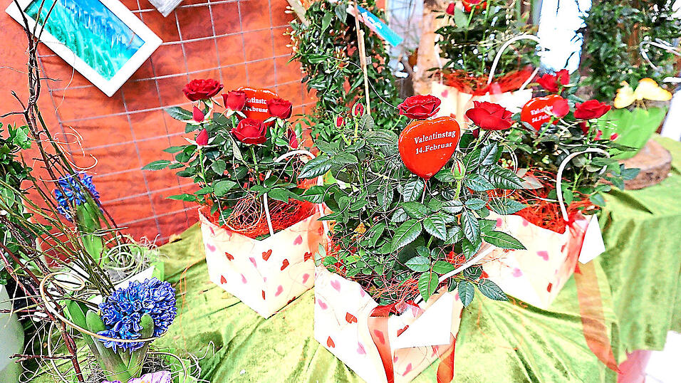 Zum Valentinstag haben Rosen Hochkonjunktur - aber es gibt auch Alternativen, beispielsweise Ranunkeln aus Italien, die keine Flugreise hinter sich haben. Etwas nachhaltiger als Schnittblumen sind zudem Topfblumen, die, sobald es wärmer wird, im Garten eingesetzt werden können. Zum Valentinstag haben Rosen Hochkonjunktur - aber es gibt auch Alternativen, beispielsweise Ranunkeln aus Italien, die keine Flugreise hinter sich haben. Etwas nachhaltiger als Schnittblumen sind zudem Topfblumen, die, sobald es wärmer wird, im Garten eingesetzt werden können.