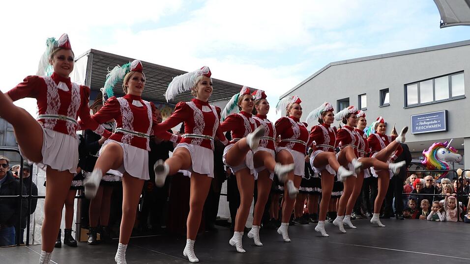 Die Gardetänzerinnen des TV Dingolfing. Die Gardetänzerinnen des TV Dingolfing.