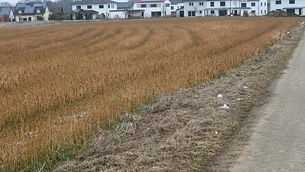 Der Graben am Baugebiet Kindsberg III soll zugesch&uuml;ttet werden.