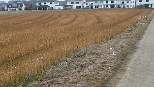 Der Graben am Baugebiet Kindsberg III soll zugesch&uuml;ttet werden.