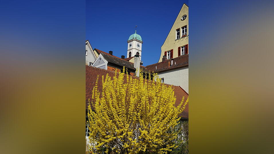 Seltene Perspektiven in Stadtamhof.
