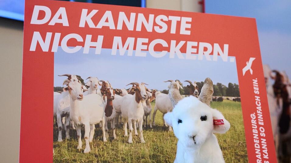 Brandenburg wirbt mit einer neuen Kampagne für Zuzüge aus Westdeutschland. (Archivbild) Brandenburg wirbt mit einer neuen Kampagne für Zuzüge aus Westdeutschland. (Archivbild)