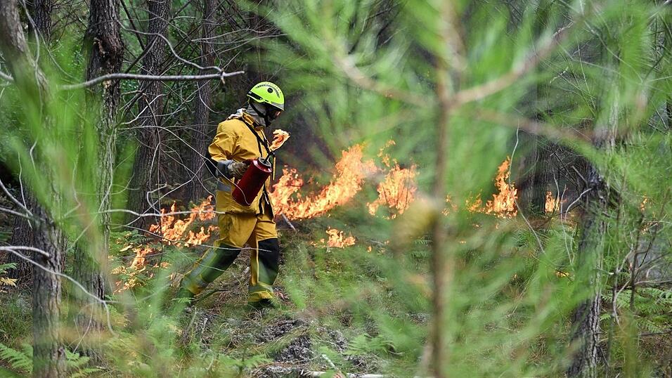 In der Waldbrandregion an der franz&ouml;sischen Atlantikk&uuml;ste gibt es ein vorsichtiges Aufatmen f&uuml;r Einsatzkr&auml;fte und Bev&ouml;lkerung.