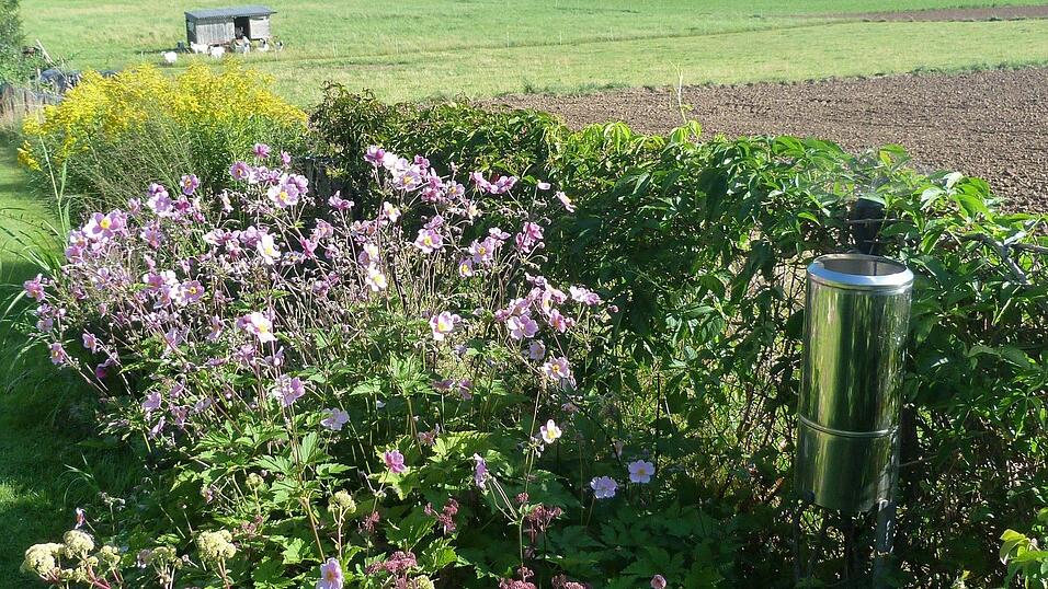 Ein Niederschlagsmesser im Garten - und schon wird man zum ehrenamtlichen Wetterbeobachter. Der Deutsche Wetterdienst sucht so einen Wetterinteressierten in Wallersdorf - und zahlt auch eine Aufwandspauschale.