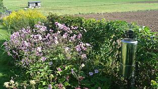 Ein Niederschlagsmesser im Garten - und schon wird man zum ehrenamtlichen Wetterbeobachter. Der Deutsche Wetterdienst sucht so einen Wetterinteressierten in Wallersdorf - und zahlt auch eine Aufwandspauschale.