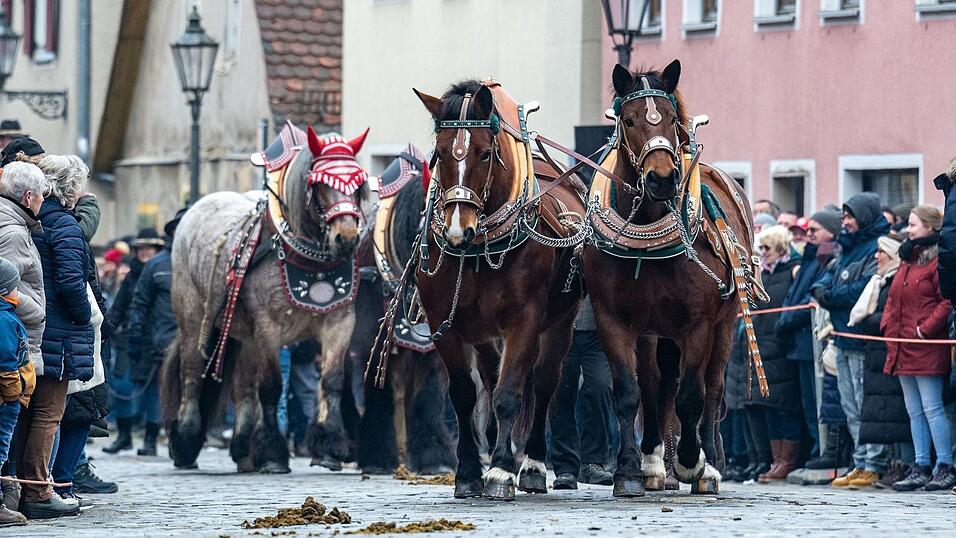 Der Berchinger Rossmarkt hat eine lange Tradition.