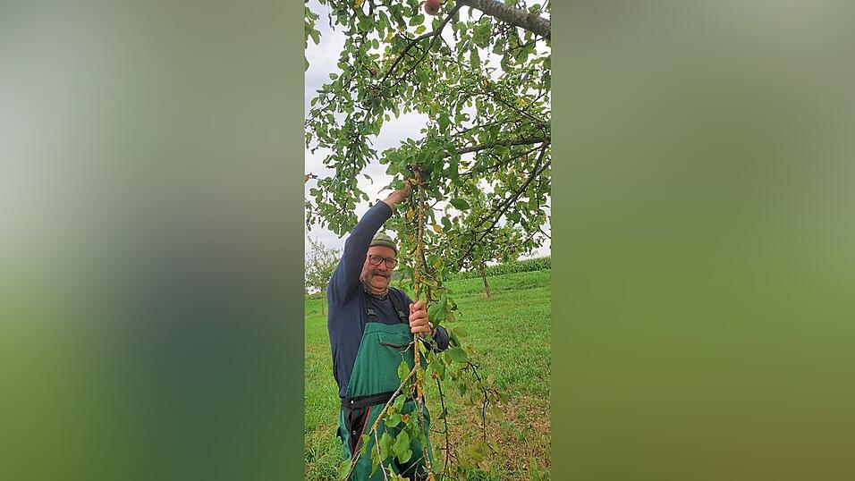 Alfons Zollner ist zertifizierter Baumwart.