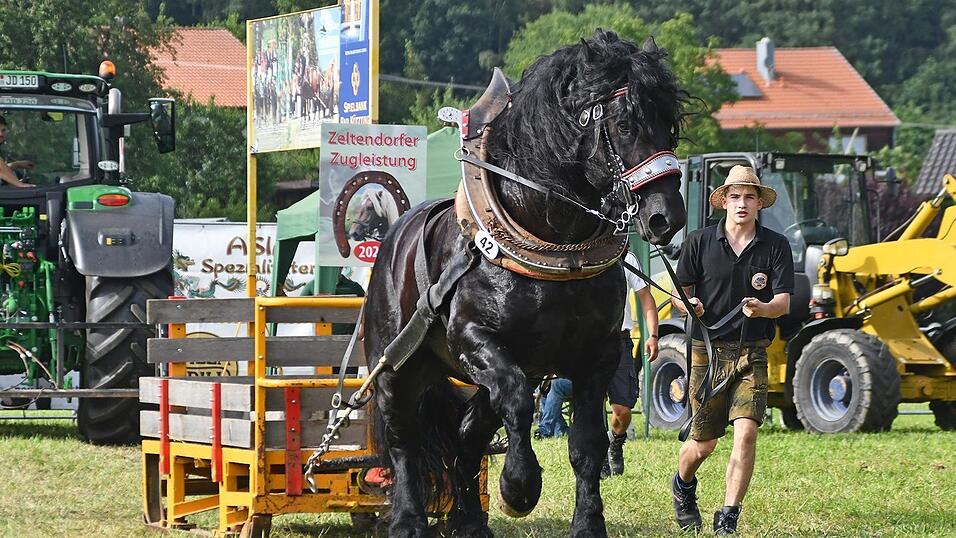 Johannes Falter aus Poschetsried konnte die schwere Klasse f&uuml;r sich entscheiden.