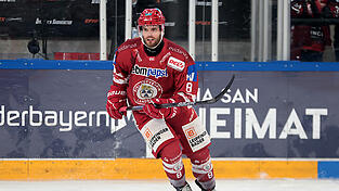 Der EV Landshut um Stürmer Benjamin Zientek will endlich die direkte Playoff-Quali eintüten. Gegen Krefeld und Dresden braucht's dafür aber eine deutliche Leistungssteigerung.