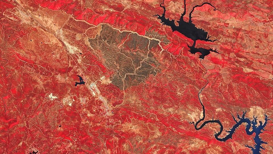 W&auml;lder geraten weltweit unter Druck - beispielsweise durch Waldbr&auml;nde, wie hier im linken Foto in Spanien. Wie sich die Ver&auml;nderungen der W&auml;lder auch im globalen Ma&szlig;stab mittels Satellitendaten nachweise lassen und welche Rolle alte und modernste Technologien dabei spielen, erforscht Cornelius Senf, Professor f&uuml;r Earth Observation for Ecosystem Management an der TUM School of Life Sciences in Weihenstephan.