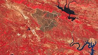 W&auml;lder geraten weltweit unter Druck - beispielsweise durch Waldbr&auml;nde, wie hier im linken Foto in Spanien. Wie sich die Ver&auml;nderungen der W&auml;lder auch im globalen Ma&szlig;stab mittels Satellitendaten nachweise lassen und welche Rolle alte und modernste Technologien dabei spielen, erforscht Cornelius Senf, Professor f&uuml;r Earth Observation for Ecosystem Management an der TUM School of Life Sciences in Weihenstephan.