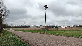 Anschlie&szlig;end an die Paul-M&uuml;nsterer-Stra&szlig;e erm&ouml;glicht der Stadtrat eine bauliche Entwicklung. Die Fl&auml;chen sind in Privatbesitz.