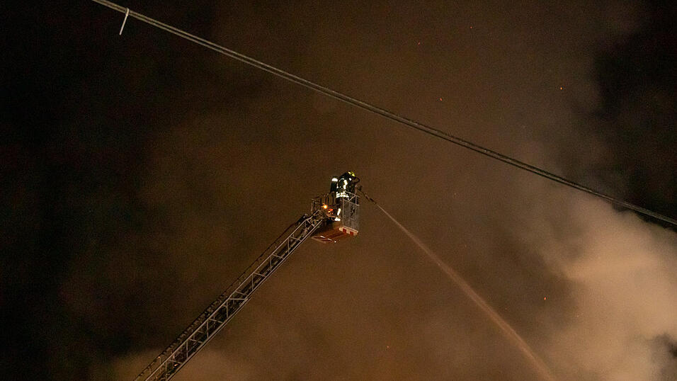 Mehrere Rinder sind bei einem Brand auf einem Bauernhof im Landkreis Deggendorf ums Leben gekommen.