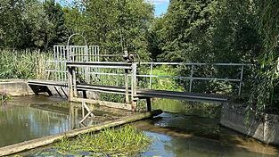 Für die zweite Kollbachüberquerung in der Arnstorfer Au soll das bestehende Bauwerk, das wär an der Hofmühle, genutzt werden. Für die zweite Kollbachüberquerung in der Arnstorfer Au soll das bestehende Bauwerk, das wär an der Hofmühle, genutzt werden.