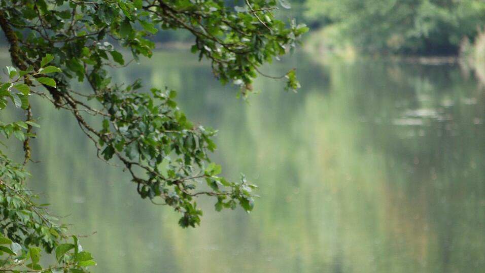 Wunderschönes Ausflugsziel in Passau: die Halser Ilzschleifen. Wunderschönes Ausflugsziel in Passau: die Halser Ilzschleifen.