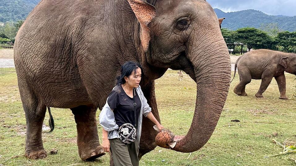 Lek ist für ihre Arbeit vielfach ausgezeichnet worden. Lek ist für ihre Arbeit vielfach ausgezeichnet worden.