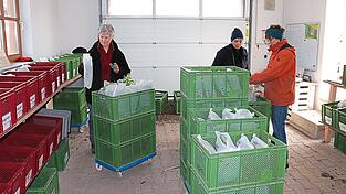Jeden Donnerstag wird erst geerntet und dann das Gem&uuml;se gemeinsam verpackt.