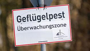 In Baden-Württemberg sind erste Fälle der Vogelgrippe nachgewiesen worden. (Symbolbild)
