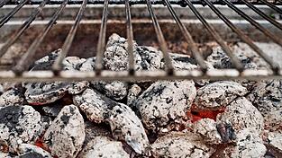 Ein herrenloser Grill kippte um und sorgte für einen Feuerwehreinsatz bei Ganacker. Ein herrenloser Grill kippte um und sorgte für einen Feuerwehreinsatz bei Ganacker.
