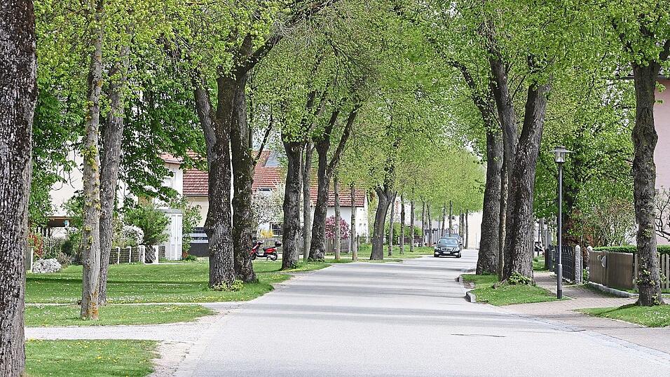 Die Pfadara Zeiln ist nach Ansicht des B&uuml;rgermeisters besonders sch&uuml;tzenswert.