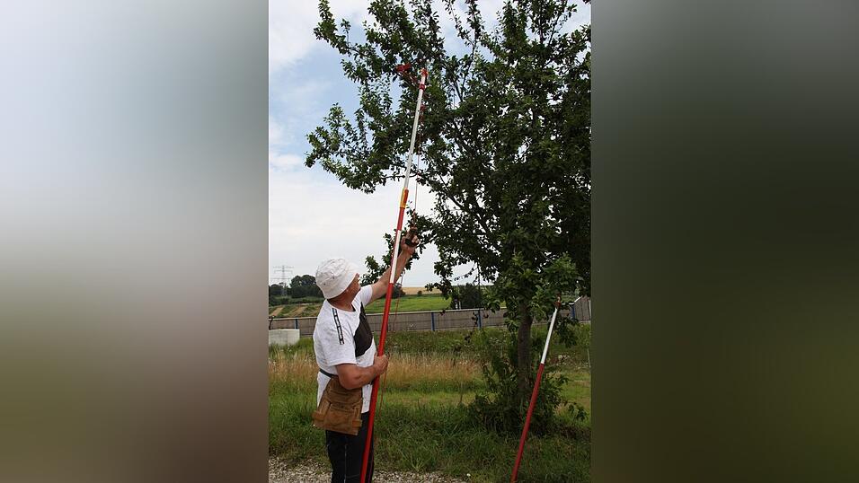 Empfehlenswert: eine Schere mit Auszug und Verl&auml;ngerung.