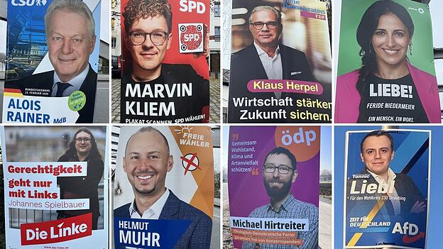 Experten analysieren die Wahlplakate von acht Parteien und deren Direktkandidaten im Wahlkreis Straubing.