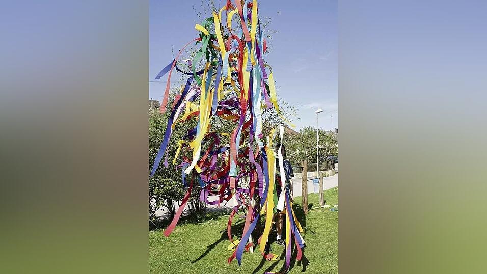 Fertig! So geschmückt kam der Maibaum auf das Dach. (Fotos: Laube) Fertig! So geschmückt kam der Maibaum auf das Dach. (Fotos: Laube)