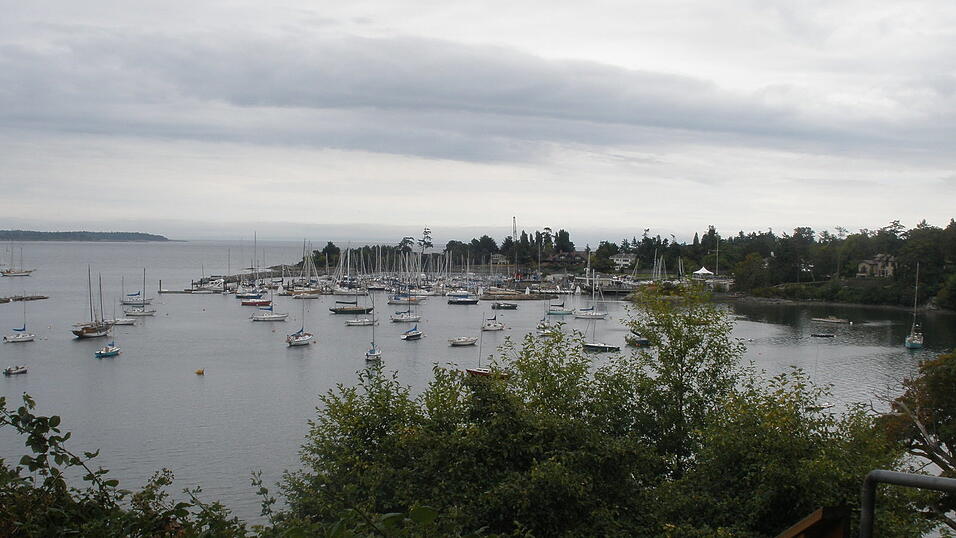 Viele Segelboote sind in der Cadboro Bay zu sehen.