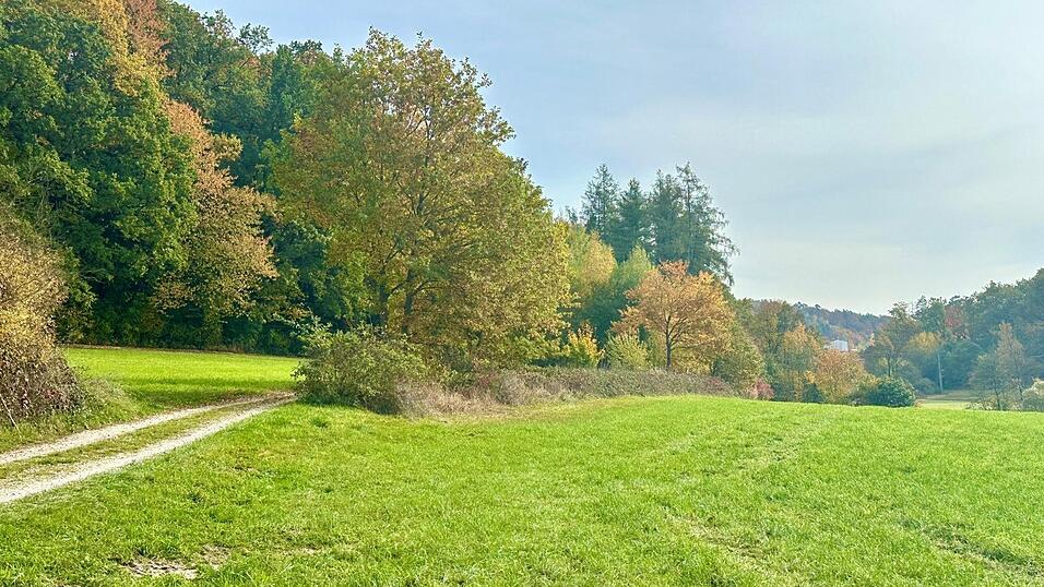 Am 16. Oktober hatte ein Spaziergänger in diesem Waldstück am Dieberg, unweit vom Drachensee entfernt, die sterblichen Überreste entdeckt.