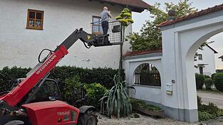 Wer nah an der Blüte sein will, muss schwindelfrei sein. Wer nah an der Blüte sein will, muss schwindelfrei sein.